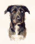 A dog painted in soft watercolour on warm paper, loose brushwork