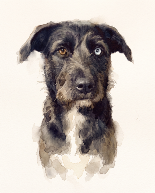 A dog painted in soft watercolour on warm paper, loose brushwork